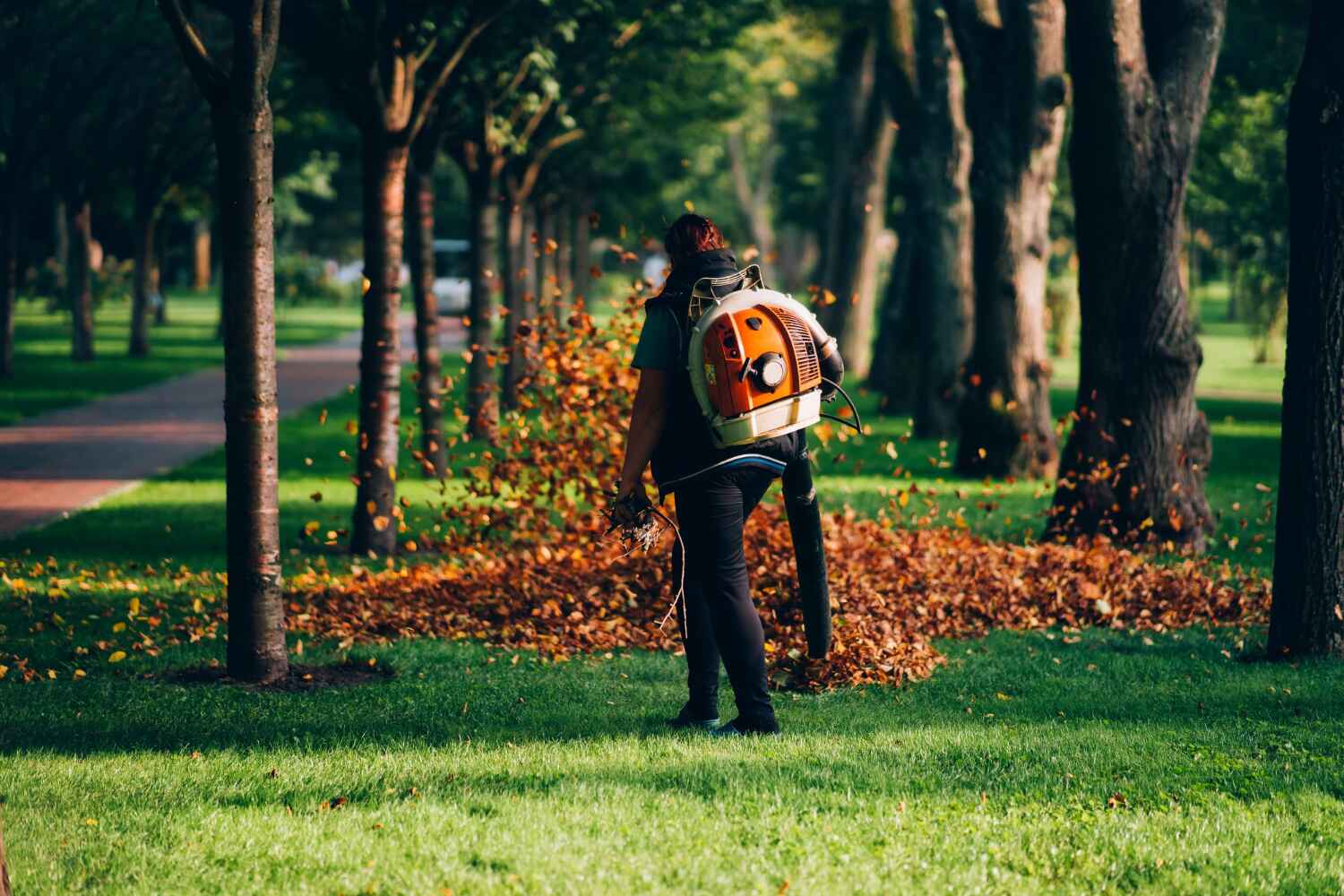 Best Tree Stump Removal  in Glenolden, PA